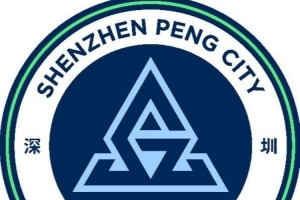 新鹏城官方宣布：夏合扎提租借转会至陕西联合，胡家进租借转会至定南赣联