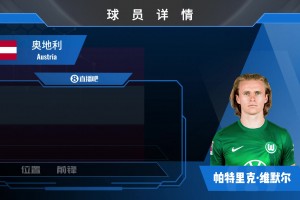 狼堡前锋维默尔集锦：防守参与度极高的锋线多面手