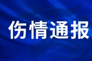 王毅右膝外侧副韧带受损，陈哲超腓骨肌腱及外踝韧带受伤