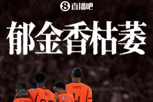 郁金香凋零！荷兰队无缘世界杯32强，创队史最差正赛成绩