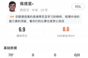 热区图凸显对方半场！佩德里全场表现：传球达成率85.3%，得分6.9分