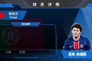 若昂·内维斯集锦：体能充沛的抢球机器 进攻防守一把抓！