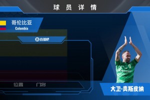 奥斯皮纳集锦：大赛经验丰富的门将 拥有神级门线反应