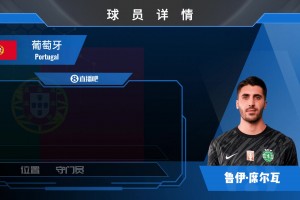 葡体门将鲁伊·席尔瓦集锦：门线扑救优秀 欧战经验丰富
