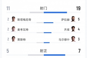 埃及对阵新西兰比赛数据：射门总数19次对12次，射正次数7次对5次，得分机会5次对3次