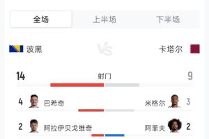 波黑3-1卡塔尔全场数据：射门比14-9 射正比5-3 角球比5-5 黄牌比0-1