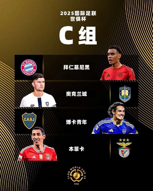 波黑队对加拿大队近几年对阵结果