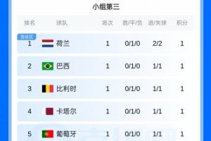前八名晋级！小组第三位：荷兰、巴西、比利时、葡萄牙、西班牙位列前八