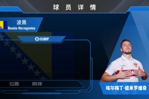 波黑前锋德米罗维奇集锦：多年德甲经验 球风硬朗的抢点型前锋