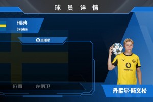 多特边卫斯文松集锦：可客串中场！攻强于守的左边翼