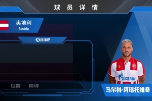 阿瑙托维奇集锦：高大型前锋！赛场上激情十足的中超旧将